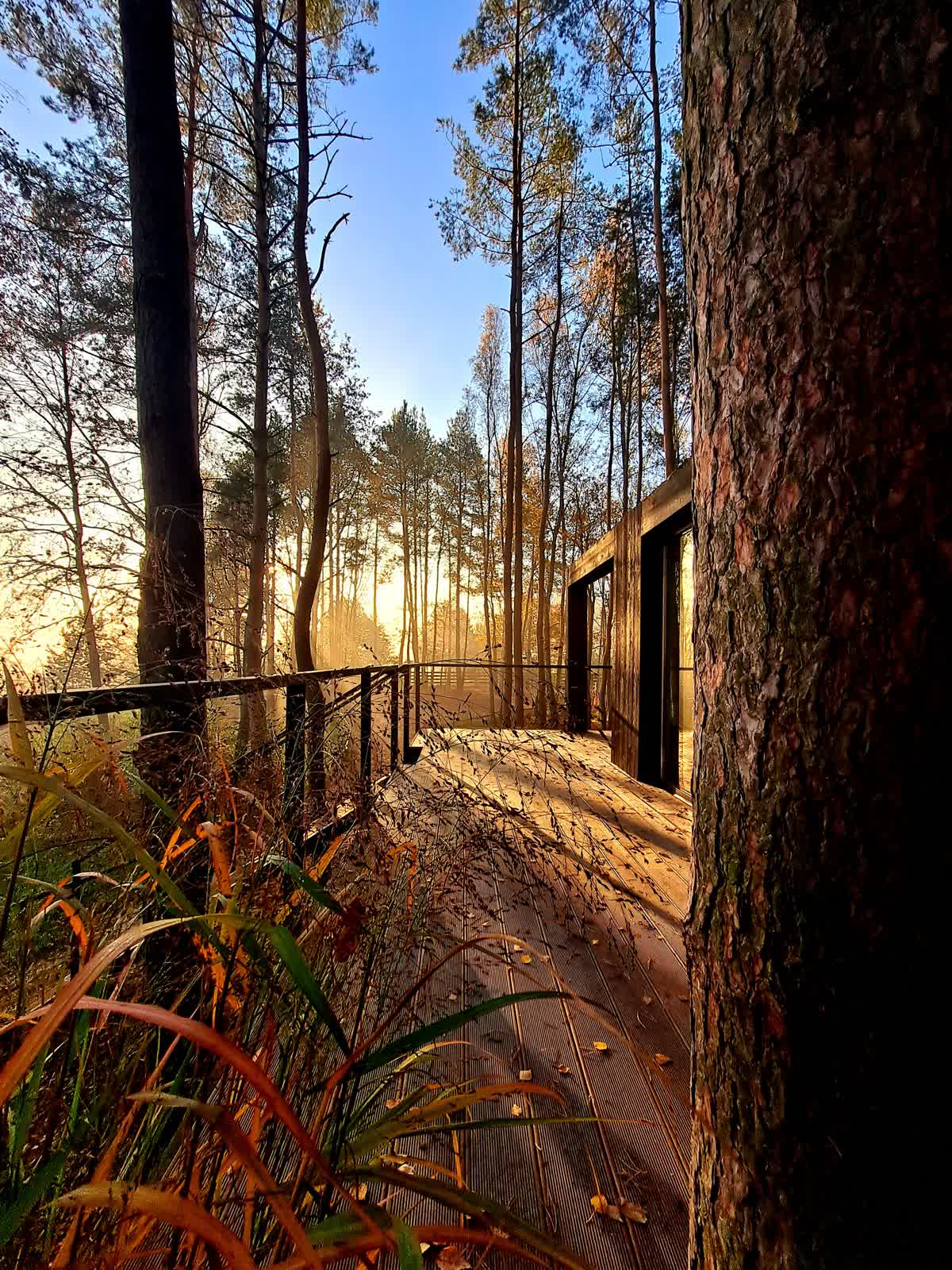 Widok taras